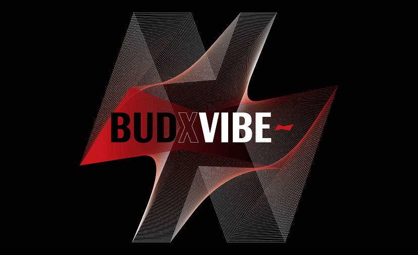 BUDXVIBE全新跨界平台